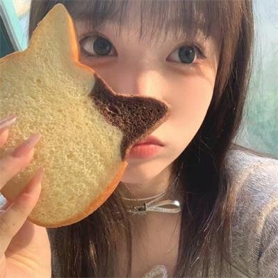 沙漠活宝